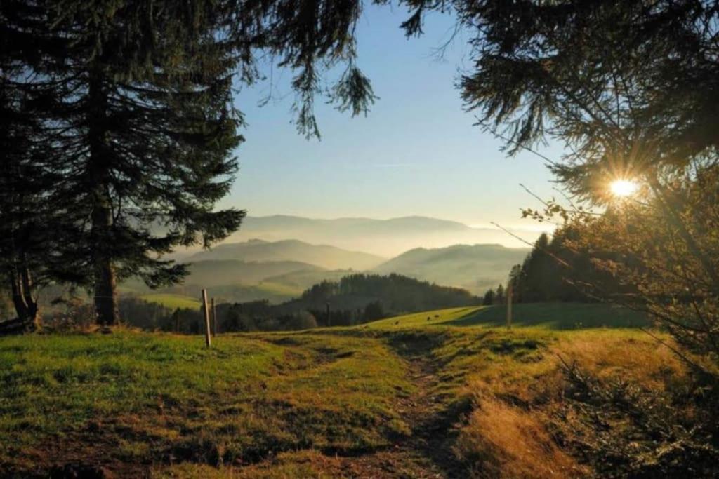 Urlaub Auf 1.000 Meter Hoehe Mit Pool Und Sauna โชนวัลด์ ภายนอก รูปภาพ