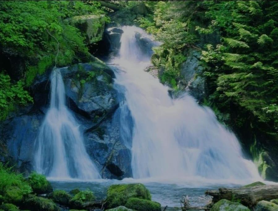 Urlaub Auf 1.000 Meter Hoehe Mit Pool Und Sauna โชนวัลด์ ภายนอก รูปภาพ