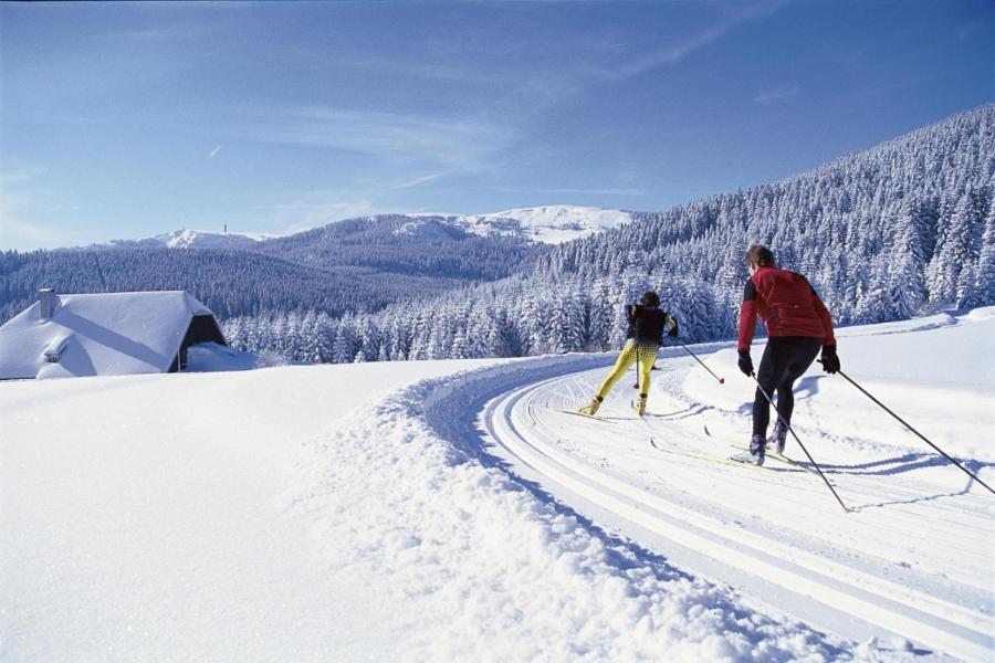Urlaub Auf 1.000 Meter Hoehe Mit Pool Und Sauna โชนวัลด์ ภายนอก รูปภาพ
