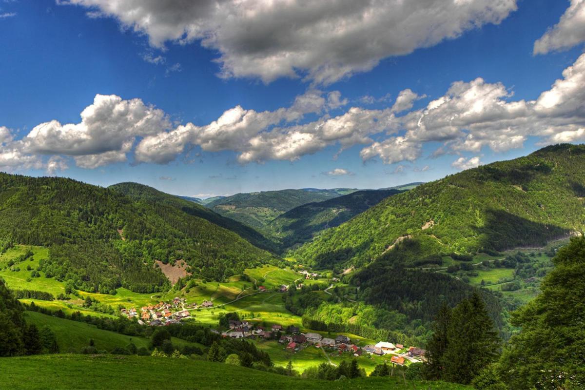 Urlaub Auf 1.000 Meter Hoehe Mit Pool Und Sauna โชนวัลด์ ภายนอก รูปภาพ